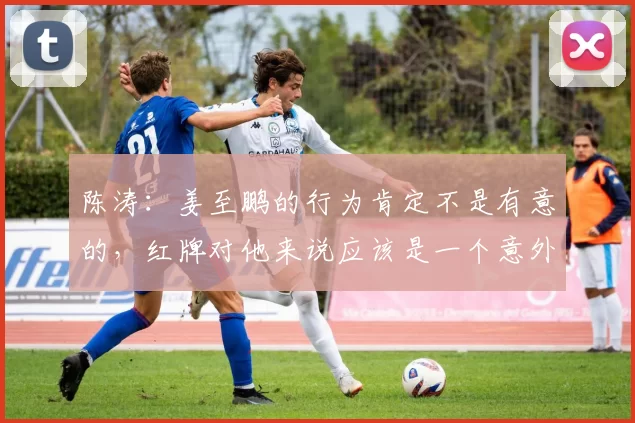 陈涛：姜至鹏的行为肯定不是有意的，红牌对他来说应该是一个意外